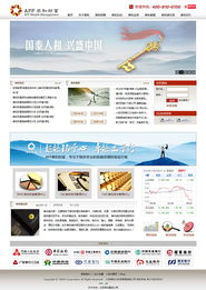 北京网站建设成功案例 探索北京尚网汇智的专业服务